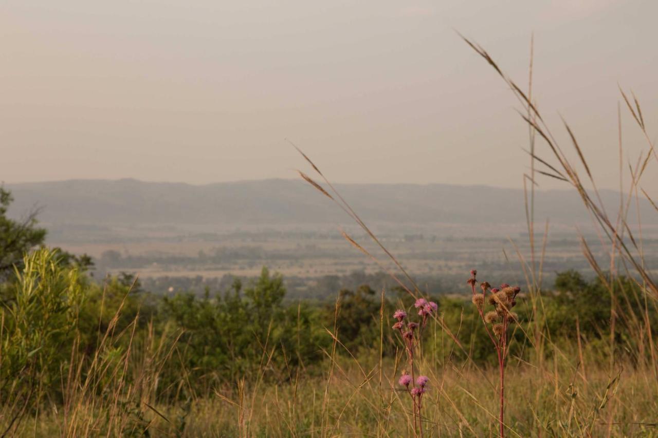 Remhoogte Mountain Lodge Jacksonstuin Экстерьер фото