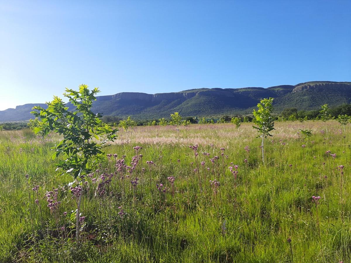 Remhoogte Mountain Lodge Jacksonstuin Экстерьер фото